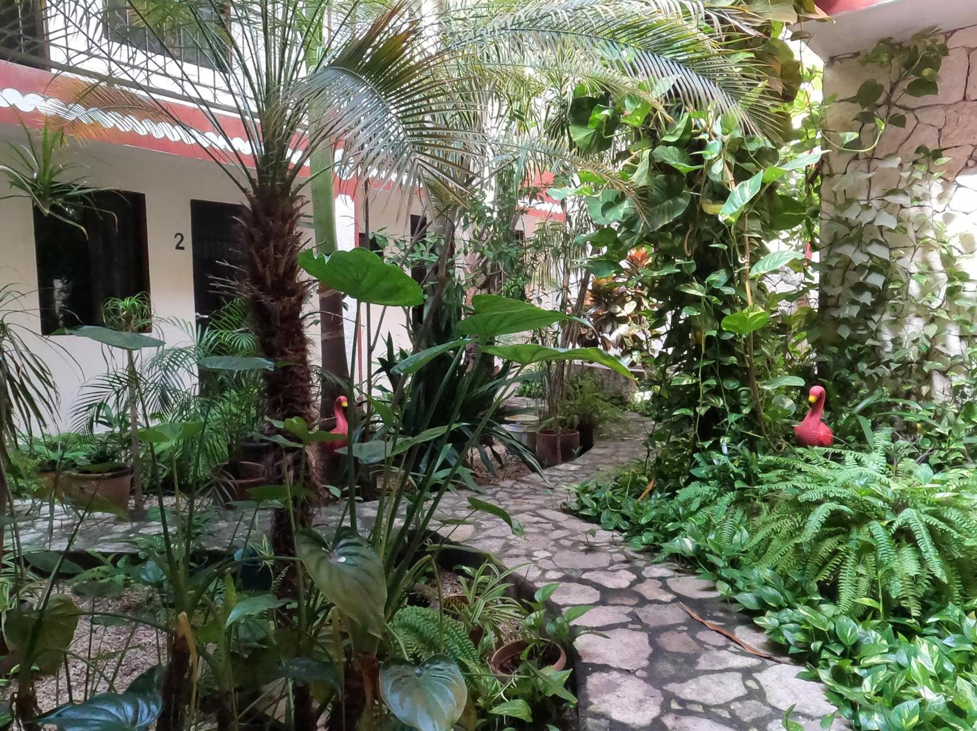 Hotel Quinta Marciala Mx Вальядолід Екстер'єр фото